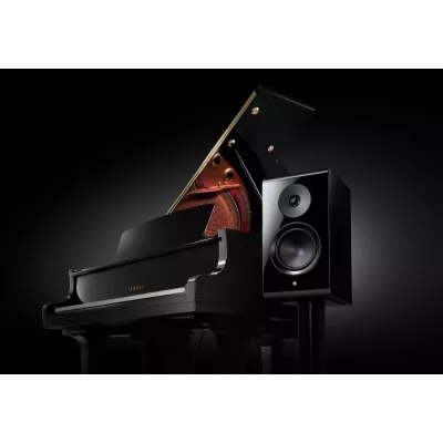 Yamaha NS-800A a Ginevra | Digistore.ch